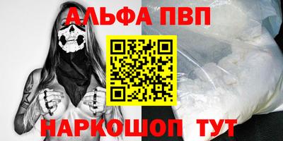 спайс Кингисепп