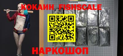 спайс Кингисепп