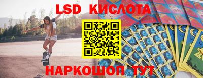 спайс Кингисепп