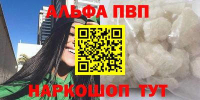 спайс Кингисепп