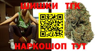 спайс Кингисепп