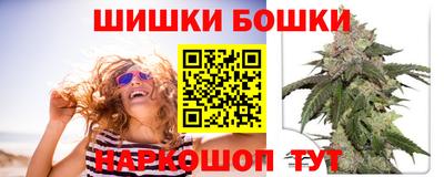 спайс Кингисепп