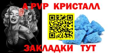спайс Кингисепп