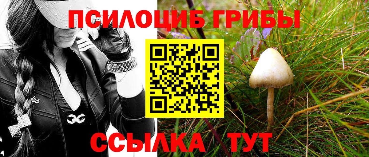 ГАШИШ Костомукша