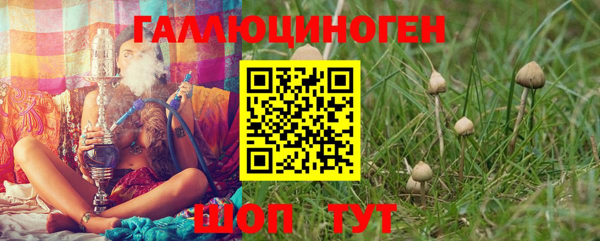 Галлюциногенные грибы MAGIC MUSHROOMS  хочу   Костомукша  Псилоцибиновые грибы мицелий  Вход с VPN 